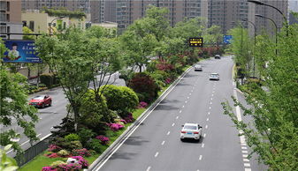 特色蘊于細節，匠心鑄就精品——論綠化工程的卓越之道