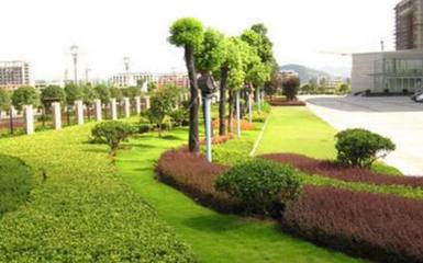 論綠化工程領域施工現(xiàn)狀與改進措施