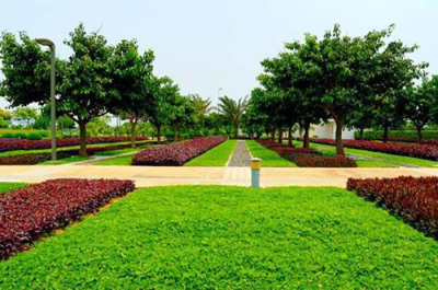 綠滿邕城 南寧園林綠化、庭院美化與專業工程服務的全方位解析