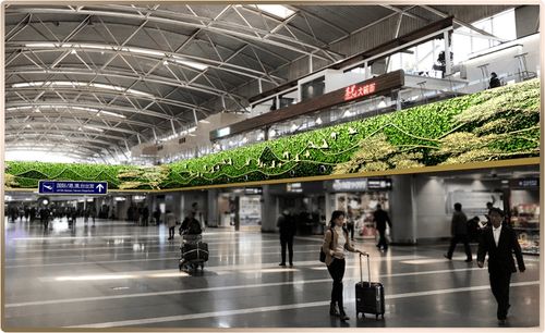 首都機(jī)場(chǎng)便民服務(wù)產(chǎn)品全新上線，上海網(wǎng)絡(luò)技術(shù)服務(wù)助力智慧出行新體驗(yàn)